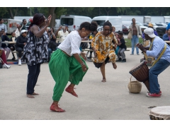 2019 African Festival of The Arts  Photo by Derick Triplett (18)